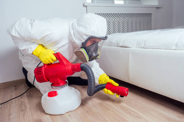 Best Residential Pest Control  in Rosedale, MD