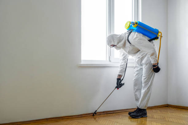 Best Pest Inspection Near Me  in Rosedale, MD