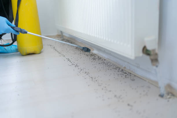 Wildlife Control Services in Rosedale, MD